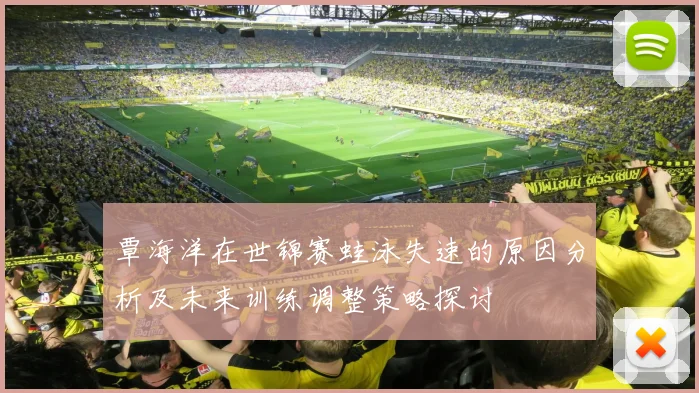 覃海洋在世锦赛蛙泳失速的原因分析及未来训练调整策略探讨